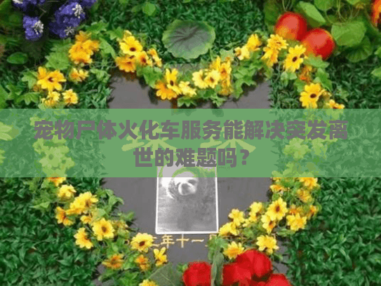 宠物尸体火化车服务能解决突发离世的难题吗? 宠物尸体火化车服务能解决突发离世的难题吗?