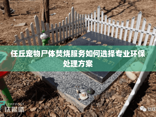任丘宠物尸体焚烧服务如何选择专业环保处理方案