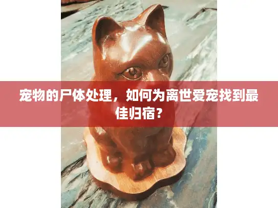 宠物的尸体处理，如何为离世爱宠找到最佳归宿？