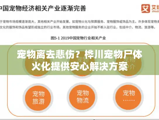 宠物离去悲伤？桦川宠物尸体火化提供安心解决方案