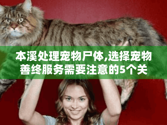 本溪处理宠物尸体,选择宠物善终服务需要注意的5个关键点 本溪处理宠物尸体,选择宠物善终服务需要注意的5个关键点