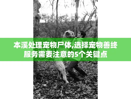 本溪处理宠物尸体,选择宠物善终服务需要注意的5个关键点 本溪处理宠物尸体,选择宠物善终服务需要注意的5个关键点