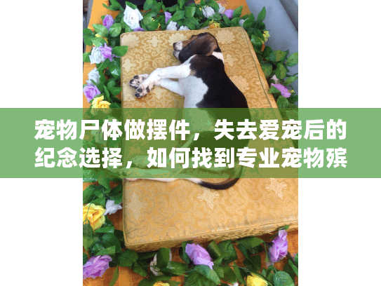 宠物尸体做摆件，失去爱宠后的纪念选择，如何找到专业宠物殡葬服务？
