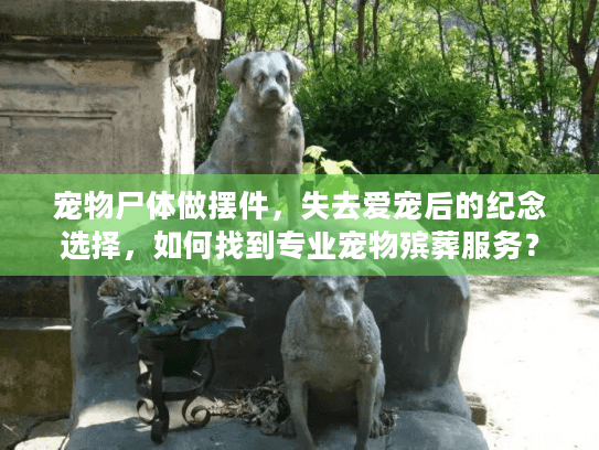 宠物尸体做摆件，失去爱宠后的纪念选择，如何找到专业宠物殡葬服务？