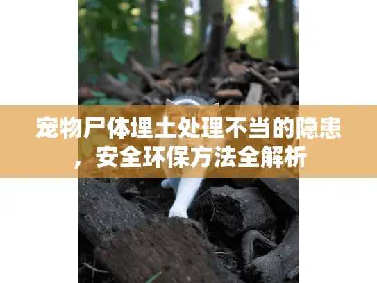 宠物尸体埋土处理不当的隐患，安全环保方法全解析