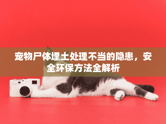 宠物尸体埋土处理不当的隐患，安全环保方法全解析