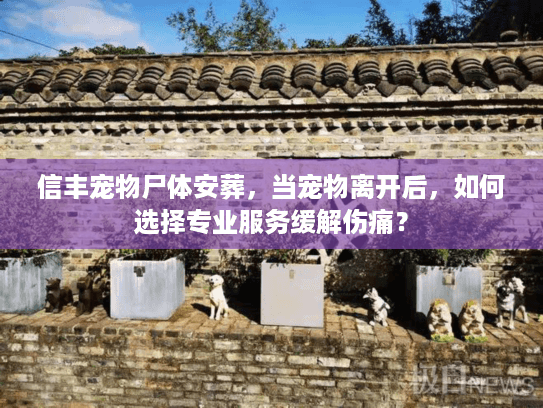 信丰宠物尸体安葬，当宠物离开后，如何选择专业服务缓解伤痛？