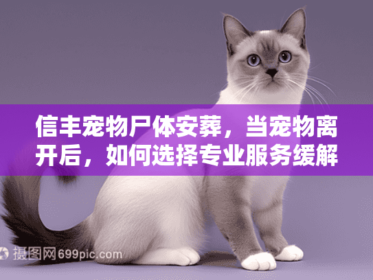 信丰宠物尸体安葬，当宠物离开后，如何选择专业服务缓解伤痛？