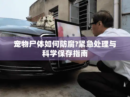 宠物尸体如何防腐?紧急处理与科学保存指南