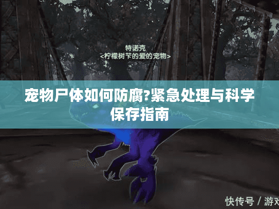 宠物尸体如何防腐?紧急处理与科学保存指南