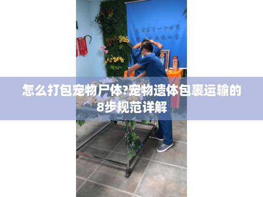 怎么打包宠物尸体?宠物遗体包裹运输的8步规范详解 怎么打包宠物尸体?宠物遗体包裹运输的8步规范详解