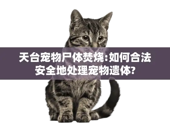 天台宠物尸体焚烧:如何合法安全地处理宠物遗体? 天台宠物尸体焚烧:如何合法安全地处理宠物遗体?
