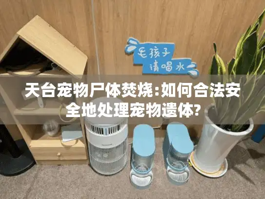 天台宠物尸体焚烧:如何合法安全地处理宠物遗体? 天台宠物尸体焚烧:如何合法安全地处理宠物遗体?