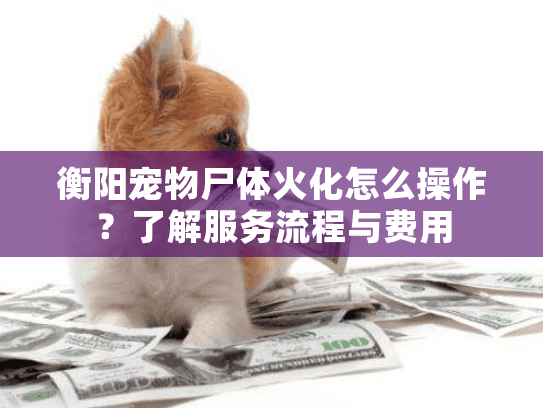 衡阳宠物尸体火化怎么操作?了解服务流程与费用 衡阳宠物尸体火化怎么操作?了解服务流程与费用