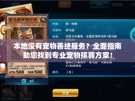 本地没有宠物善终服务？全面指南助您找到专业宠物殡葬方案！