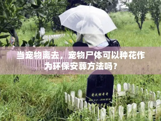 当宠物离去,宠物尸体可以种花作为环保安葬方法吗? 当宠物离去,宠物尸体可以种花作为环保安葬方法吗?