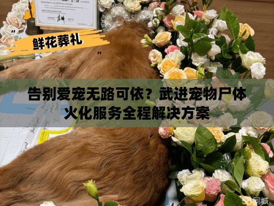 告别爱宠无路可依？武进宠物尸体火化服务全程解决方案