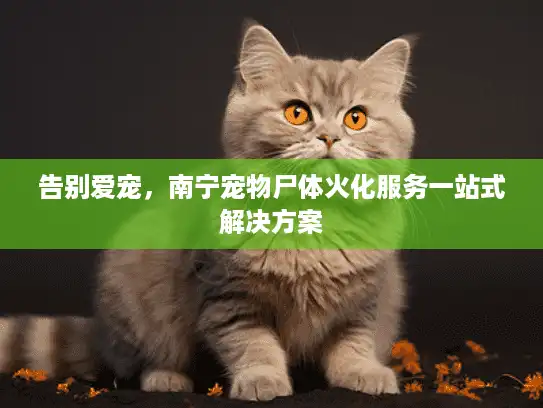 告别爱宠，南宁宠物尸体火化服务一站式解决方案