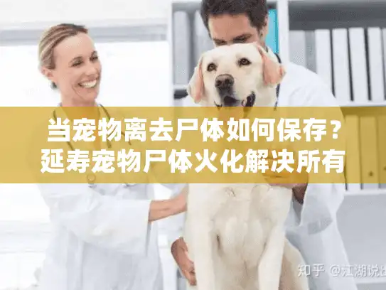 当宠物离去尸体如何保存？延寿宠物尸体火化解决所有难题