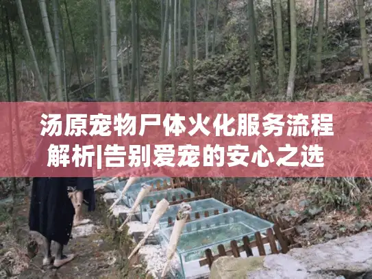 汤原宠物尸体火化服务流程解析|告别爱宠的安心之选