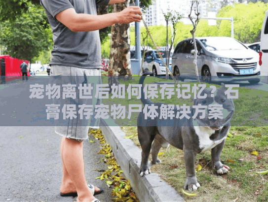 宠物离世后如何保存记忆？石膏保存宠物尸体解决方案