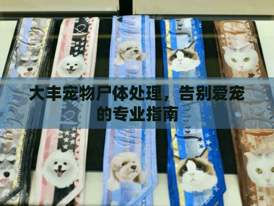 大丰宠物尸体处理,告别爱宠的专业指南 大丰宠物尸体处理,告别爱宠的专业指南