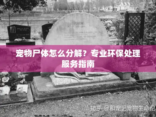 宠物尸体怎么分解?专业环保处理服务指南 宠物尸体怎么分解?专业环保处理服务指南
