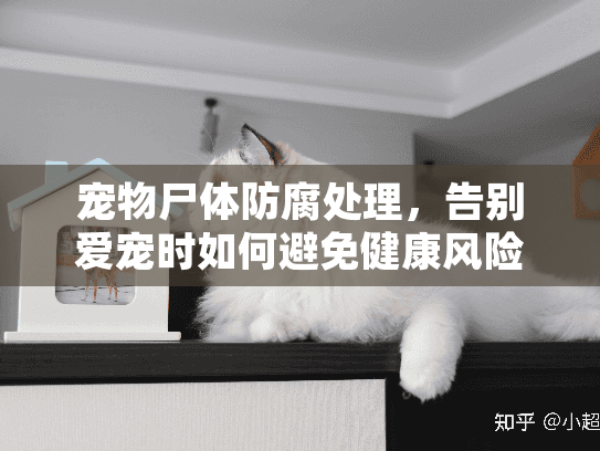 宠物尸体防腐处理,告别爱宠时如何避免健康风险? 宠物尸体防腐处理,告别爱宠时如何避免健康风险?