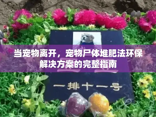 当宠物离开,宠物尸体堆肥法环保解决方案的完整指南 当宠物离开,宠物尸体堆肥法环保解决方案的完整指南