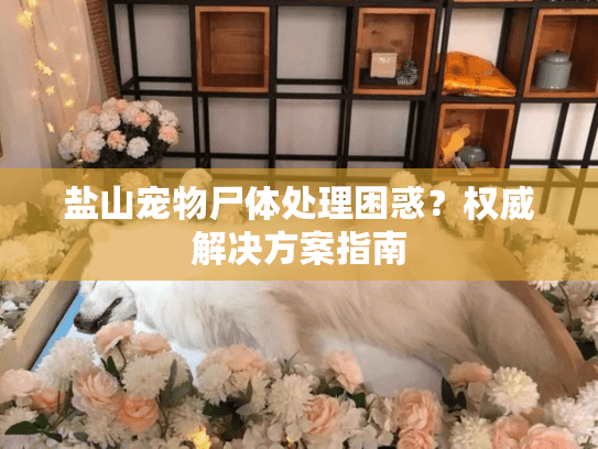 盐山宠物尸体处理困惑？权威解决方案指南