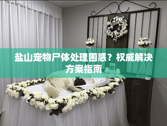 盐山宠物尸体处理困惑？权威解决方案指南