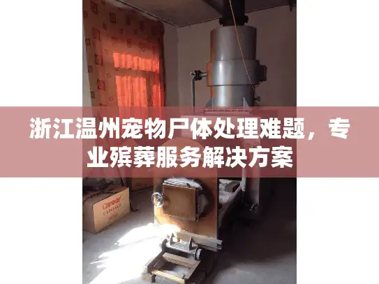 浙江温州宠物尸体处理难题，专业殡葬服务解决方案