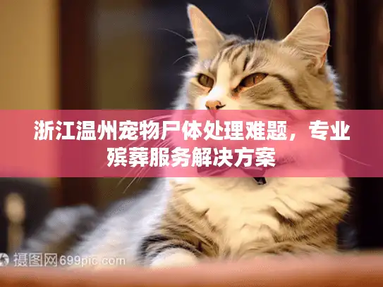 浙江温州宠物尸体处理难题，专业殡葬服务解决方案