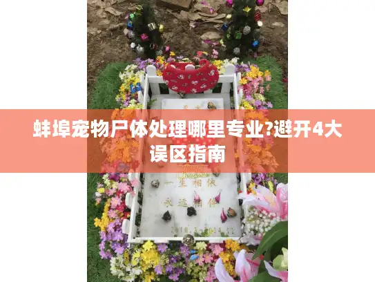 蚌埠宠物尸体处理哪里专业?避开4大误区指南 蚌埠宠物尸体处理哪里专业?避开4大误区指南
