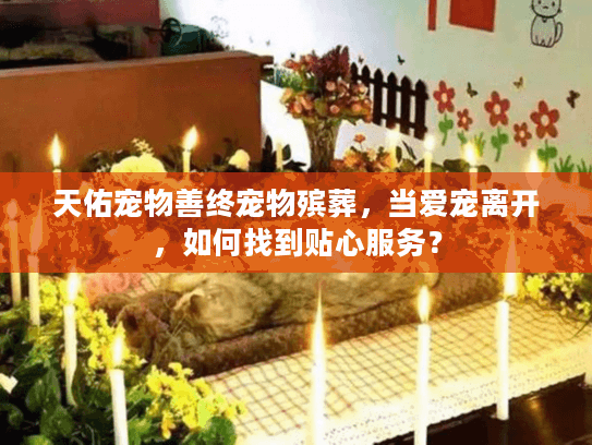 天佑宠物善终宠物殡葬，当爱宠离开，如何找到贴心服务？