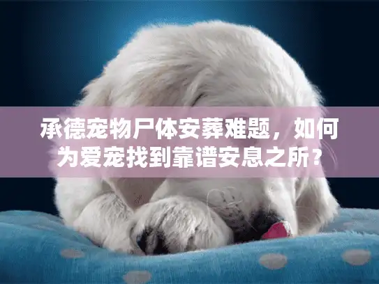 承德宠物尸体安葬难题，如何为爱宠找到靠谱安息之所？