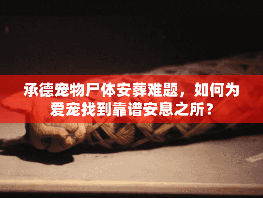 承德宠物尸体安葬难题，如何为爱宠找到靠谱安息之所？