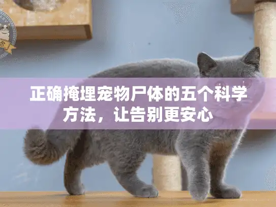 正确掩埋宠物尸体的五个科学方法，让告别更安心