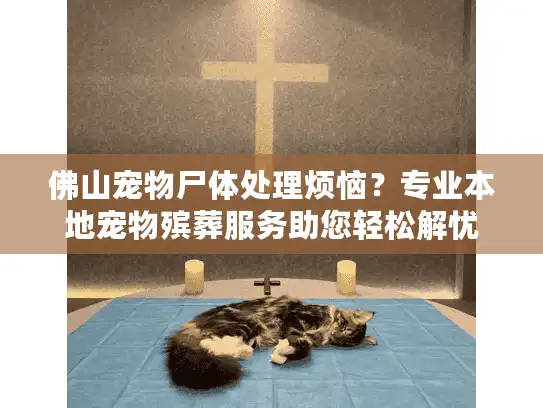 佛山宠物尸体处理烦恼？专业本地宠物殡葬服务助您轻松解忧