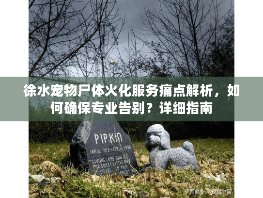 徐水宠物尸体火化服务痛点解析，如何确保专业告别？详细指南