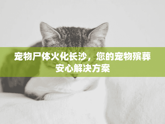 宠物尸体火化长沙，您的宠物殡葬安心解决方案