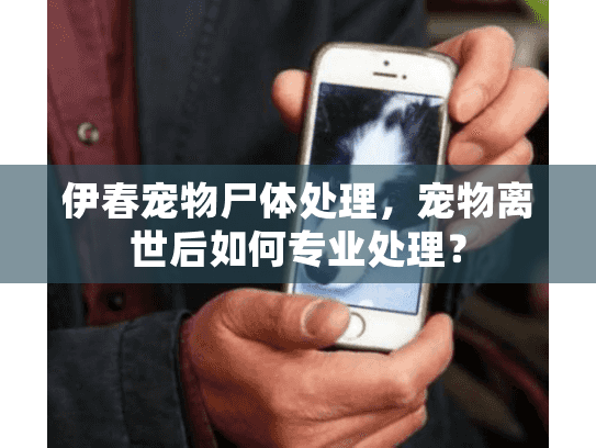 伊春宠物尸体处理，宠物离世后如何专业处理？