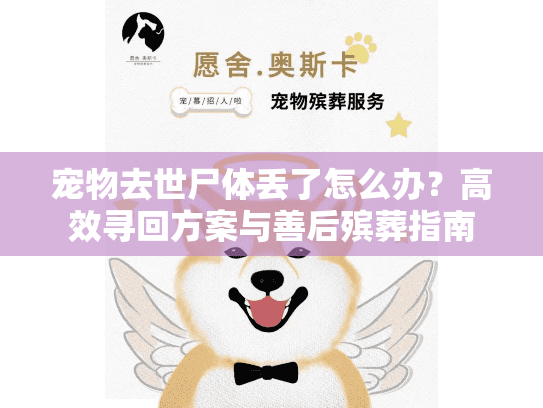 宠物去世尸体丢了怎么办？高效寻回方案与善后殡葬指南