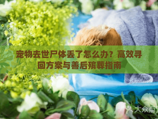 宠物去世尸体丢了怎么办？高效寻回方案与善后殡葬指南