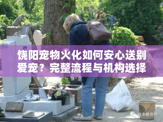 饶阳宠物火化如何安心送别爱宠？完整流程与机构选择指南
