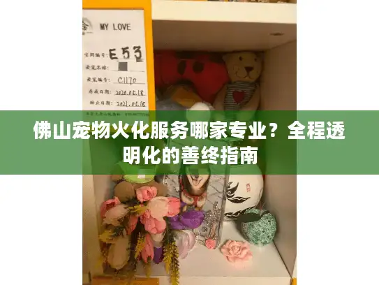 佛山宠物火化服务哪家专业？全程透明化的善终指南