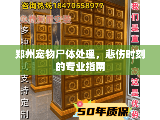 郑州宠物尸体处理，悲伤时刻的专业指南