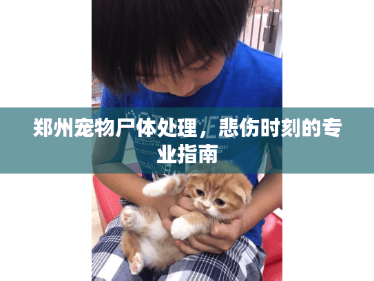 郑州宠物尸体处理，悲伤时刻的专业指南