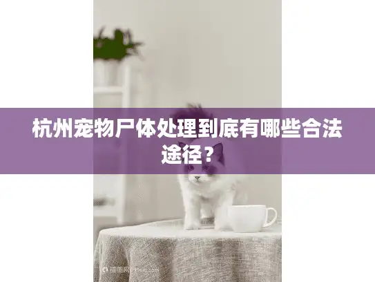 杭州宠物尸体处理到底有哪些合法途径？