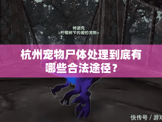 杭州宠物尸体处理到底有哪些合法途径？